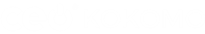 Kokomo CEO